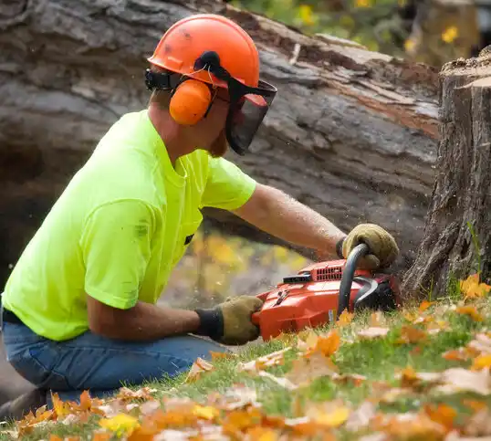 tree services Kingstown